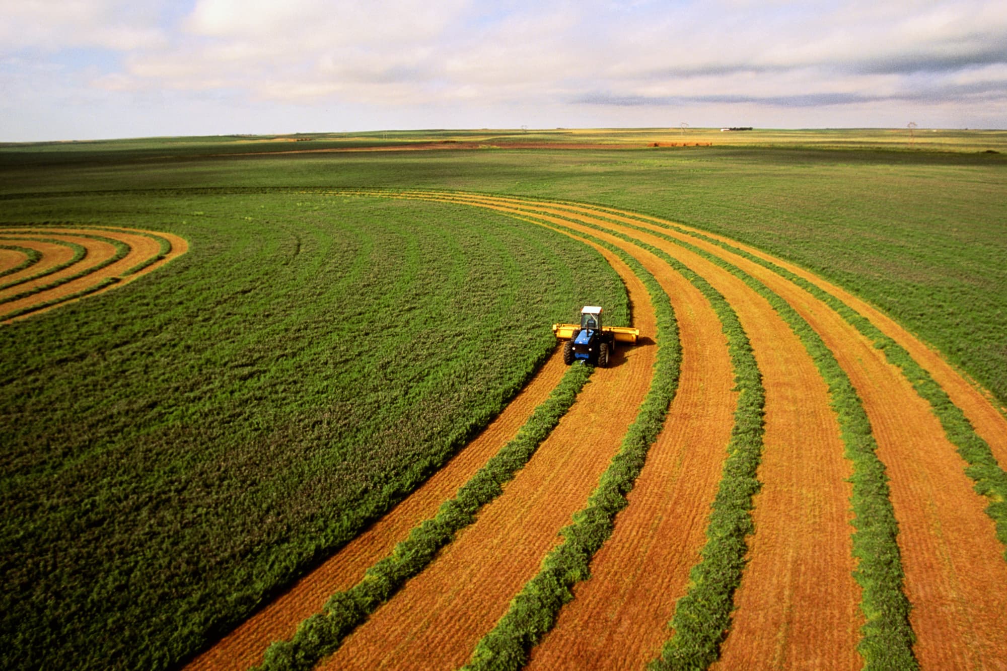 Saudi Arabia buying up farmland in US Southwest